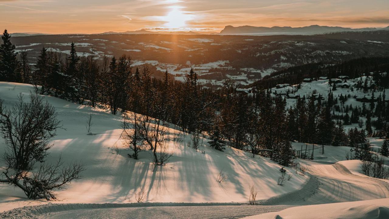 Danebu Kongsgaard - Boutique Hotel Aurdal Kültér fotó